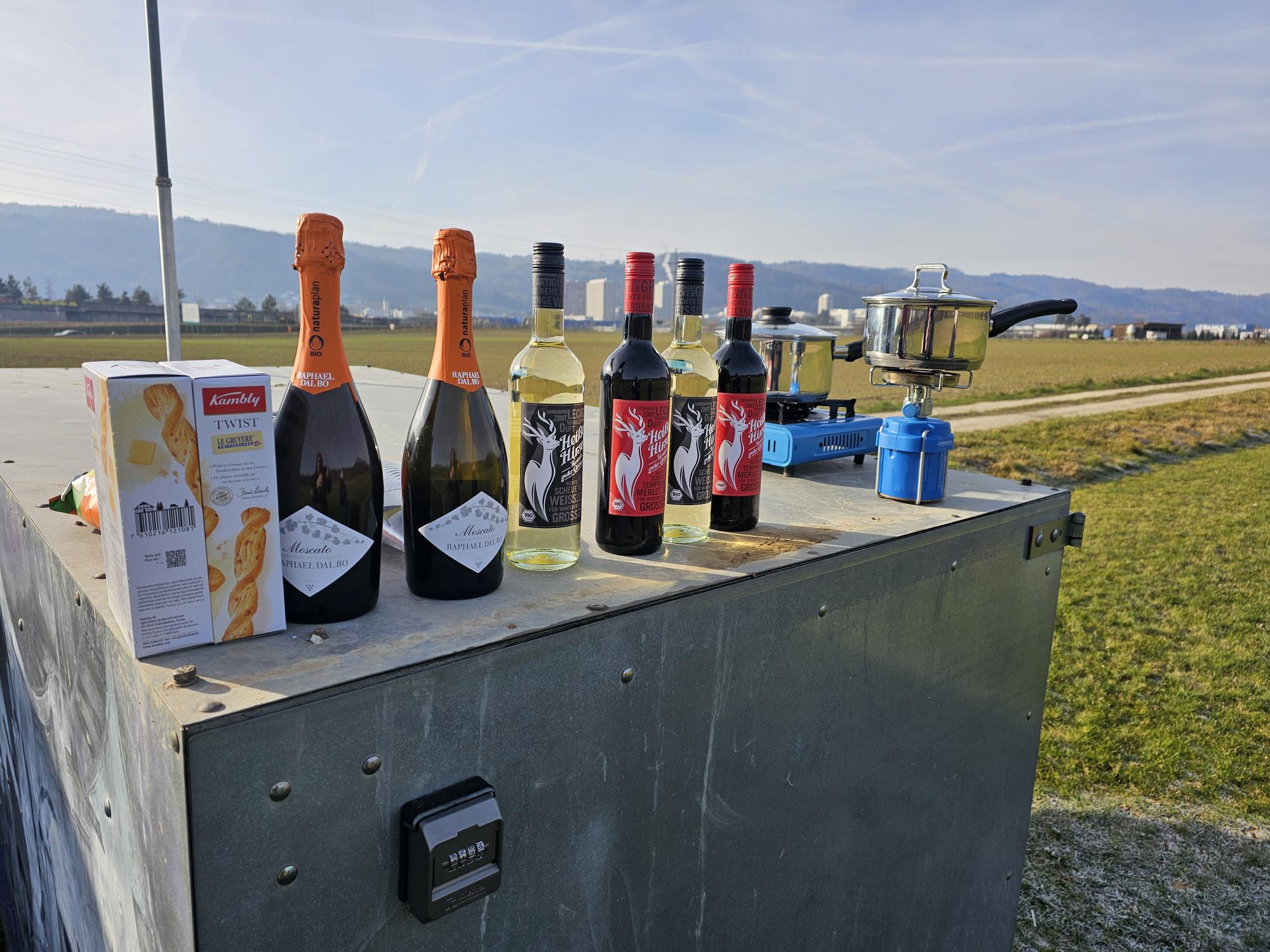 Neujahrsfliegen