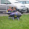 Helitreffen