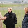 Neujahrsfliegen