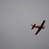 Neujahrsfliegen