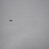 Neujahrsfliegen
