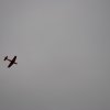 Neujahrsfliegen