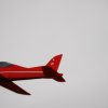 Neujahrsfliegen