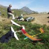 Hahnenmoos