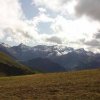 Hahnenmoos