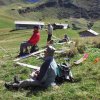 Hahnenmoos