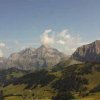 Hahnenmoos