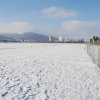 Neujahrsfliegen