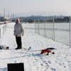 Neujahrsfliegen