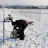 Neujahrsfliegen