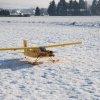 Neujahrsfliegen