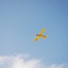 Neujahrsfliegen