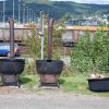 Risottoplausch