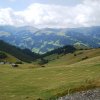 Hahnenmoos