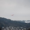 Neujahrsfliegen