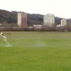 Neujahrsfliegen