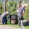 Risottoplausch