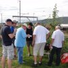 Sommerfliegen