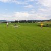 Sommerfliegen