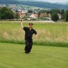 Sommerfliegen
