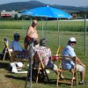 Sommerfliegen
