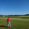 Sommerfliegen