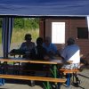 Sommerfliegen