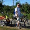 Sommerfliegen