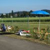 Sommerfliegen