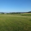 Sommerfliegen