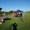 Sommerfliegen