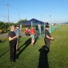 Sommerfliegen