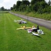 Sommerfliegen