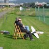 Sommerfliegen