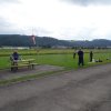 Sommerfliegen