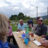 Sommerfliegen