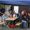 Sommerfliegen
