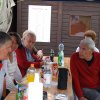 Sommerfliegen