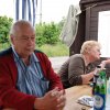 Sommerfliegen