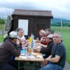 Sommerfliegen
