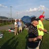 Sommerfliegen