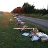 Sommerfliegen