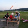Sommerfliegen