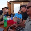 Sommerfliegen
