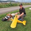 Sommernachtsfliegen