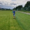 Sommernachtsfliegen
