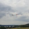 Sommernachtsfliegen