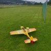 Sommernachtsfliegen