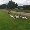 Sommernachtsfliegen