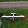 Sommernachtsfliegen